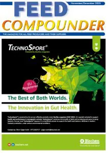 November/December 2025