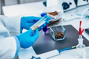Feed Formulation Latin America