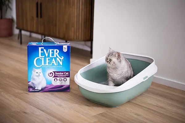 Ever Clean®