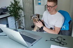 An employee in a dog-friendly office