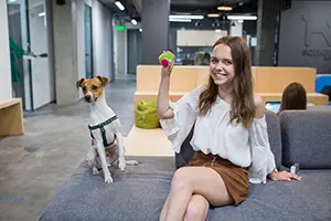 Dog-friendly office