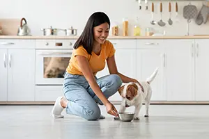 BeneoCarb S low-glycaemic syrup for pet food nutrition.