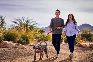 Metabolic Health for pet care