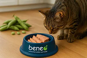 Wet cat food with faba bean protein concentrate.