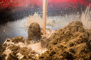 Liquid co-products offer lifeline for farmers facing forage shortfalls