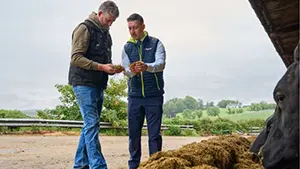 Alltech launches next-generation mycotoxin binders