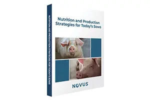 NOVUS: Launch Events for New Swine Book