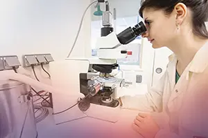 Lallemand research and development.