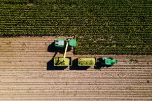 Crop ratings fall after dry April-May, with key weeks ahead for yield potential