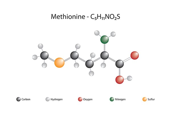 Evonik invests into technical upgrade of European methionine Verbund
