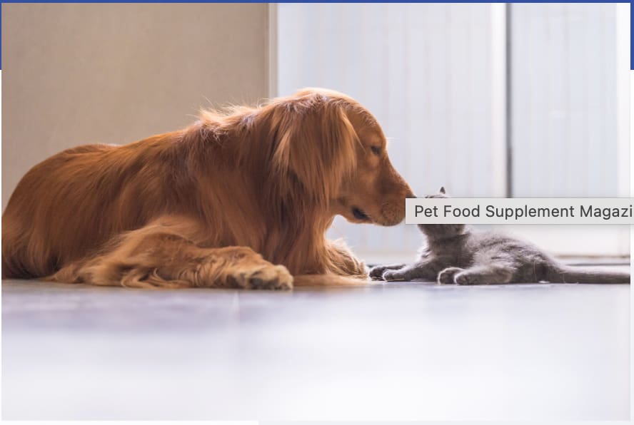 The role of vitaminsin the immune system of cats and dogs