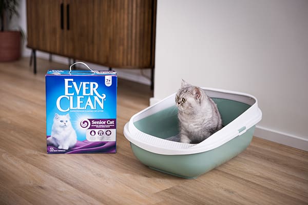 Ever Clean®
