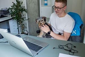 An employee in a dog-friendly office