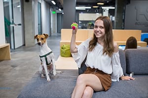 Dog-friendly office