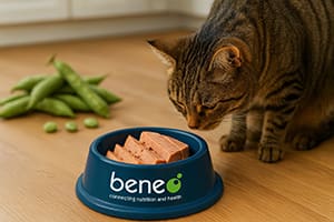 Wet cat food with faba bean protein concentrate.