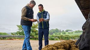 Alltech launches next-genmycotoxin binders: Mycosorb® A+ Evo and Mycosorb® Evo.