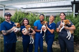 ADM and Hill's Pet Nutrition partner to boost regenerative agriculture